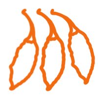 Technical Level: ROUGH & READY